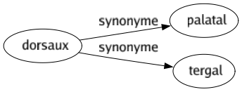 Synonyme de Dorsaux : Palatal Tergal 