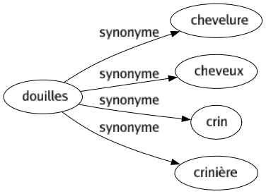 Synonyme de Douilles : Chevelure Cheveux Crin Crinière 