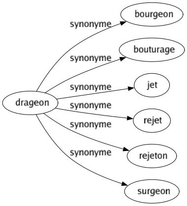 Synonyme de Drageon : Bourgeon Bouturage Jet Rejet Rejeton Surgeon 