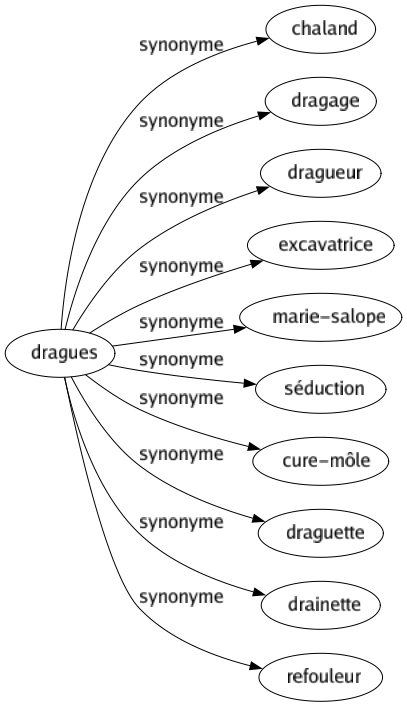 Synonyme de Dragues : Chaland Dragage Dragueur Excavatrice Marie-salope Séduction Cure-môle Draguette Drainette Refouleur 