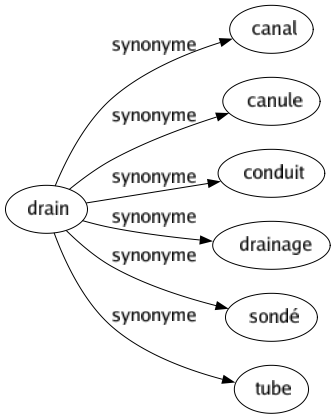 Synonyme de Drain : Canal Canule Conduit Drainage Sondé Tube 
