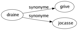 Synonyme de Draine : Grive Jocasse 