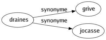 Synonyme de Draines : Grive Jocasse 