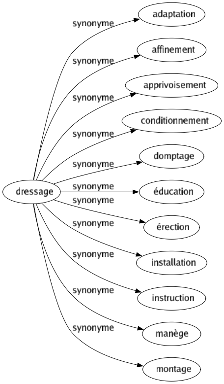 Synonyme de Dressage : Adaptation Affinement Apprivoisement Conditionnement Domptage Éducation Érection Installation Instruction Manège Montage 