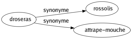 Synonyme de Droseras : Rossolis Attrape-mouche 