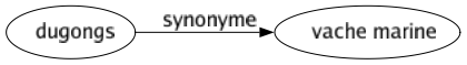 Synonyme de Dugongs : Vache marine 