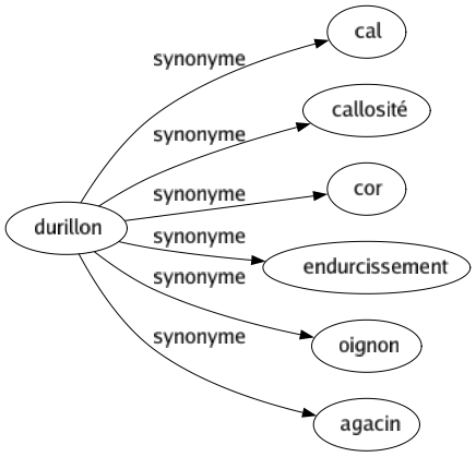Synonyme de Durillon : Cal Callosité Cor Endurcissement Oignon Agacin 