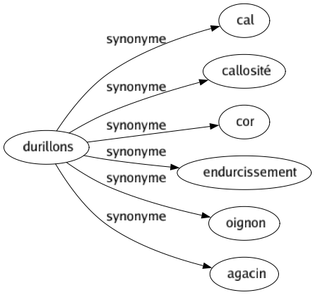 Synonyme de Durillons : Cal Callosité Cor Endurcissement Oignon Agacin 