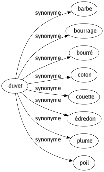Synonyme de Duvet : Barbe Bourrage Bourré Coton Couette Édredon Plume Poil 