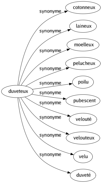 Synonyme de Duveteux : Cotonneux Laineux Moelleux Pelucheux Poilu Pubescent Velouté Velouteux Velu Duveté 
