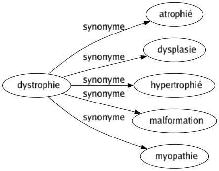 Synonyme de Dystrophie : Atrophié Dysplasie Hypertrophié Malformation Myopathie 