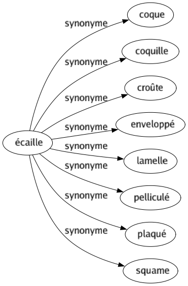 Synonyme de Écaille : Coque Coquille Croûte Enveloppé Lamelle Pelliculé Plaqué Squame 