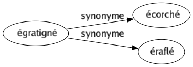 Synonyme de Égratigné : Écorché Éraflé 