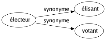 Synonyme de Électeur : Élisant Votant 