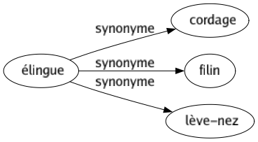 Synonyme de Élingue : Cordage Filin Lève-nez 