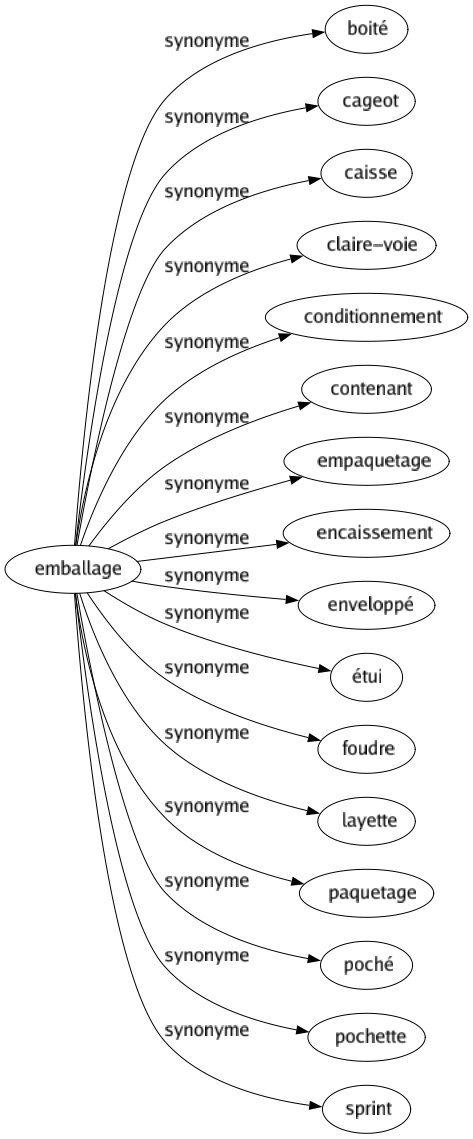 Synonyme de Emballage : Boité Cageot Caisse Claire-voie Conditionnement Contenant Empaquetage Encaissement Enveloppé Étui Foudre Layette Paquetage Poché Pochette Sprint 