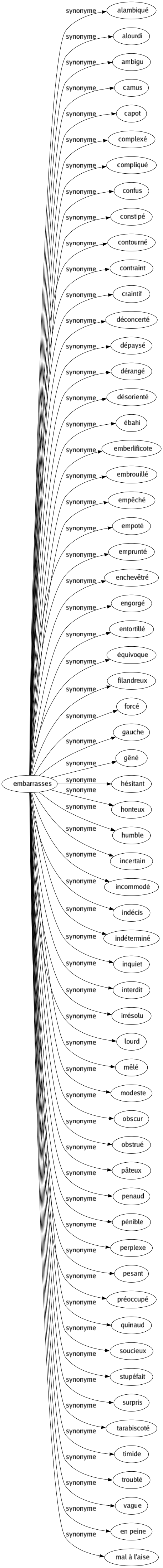 Synonyme de Embarrasses : Alambiqué Alourdi Ambigu Camus Capot Complexé Compliqué Confus Constipé Contourné Contraint Craintif Déconcerté Dépaysé Dérangé Désorienté Ébahi Emberlificote Embrouillé Empêché Empoté Emprunté Enchevêtré Engorgé Entortillé Équivoque Filandreux Forcé Gauche Gêné Hésitant Honteux Humble Incertain Incommodé Indécis Indéterminé Inquiet Interdit Irrésolu Lourd Mêlé Modeste Obscur Obstrué Pâteux Penaud Pénible Perplexe Pesant Préoccupé Quinaud Soucieux Stupéfait Surpris Tarabiscoté Timide Troublé Vague En peine Mal à l'aise 