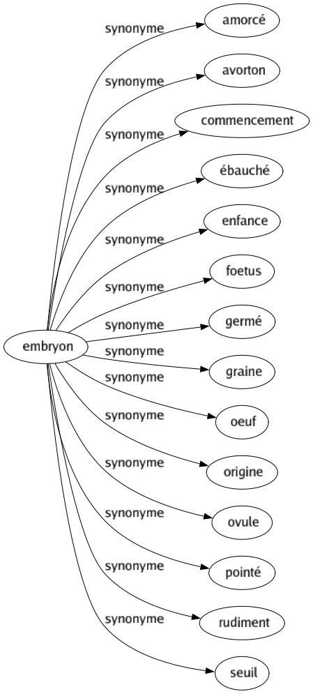 Synonyme de Embryon : Amorcé Avorton Commencement Ébauché Enfance Foetus Germé Graine Oeuf Origine Ovule Pointé Rudiment Seuil 