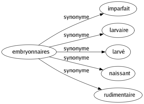 Synonyme de Embryonnaires : Imparfait Larvaire Larvé Naissant Rudimentaire 