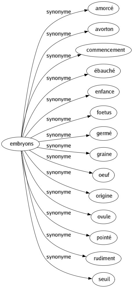 Synonyme de Embryons : Amorcé Avorton Commencement Ébauché Enfance Foetus Germé Graine Oeuf Origine Ovule Pointé Rudiment Seuil 