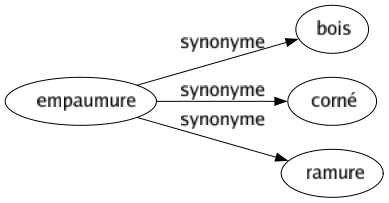 Synonyme de Empaumure : Bois Corné Ramure 