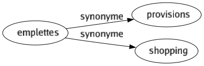 Synonyme de Emplettes : Provisions Shopping 