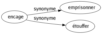 Synonyme de Encage : Emprisonner Étouffer 