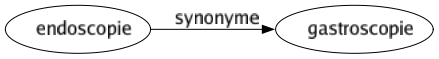 Synonyme de Endoscopie : Gastroscopie 