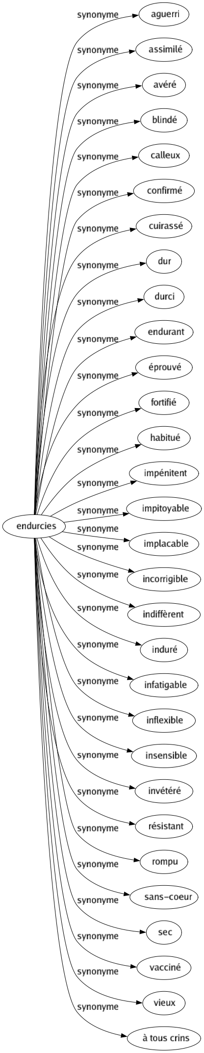 Synonyme de Endurcies : Aguerri Assimilé Avéré Blindé Calleux Confirmé Cuirassé Dur Durci Endurant Éprouvé Fortifié Habitué Impénitent Impitoyable Implacable Incorrigible Indiffèrent Induré Infatigable Inflexible Insensible Invétéré Résistant Rompu Sans-coeur Sec Vacciné Vieux À tous crins 