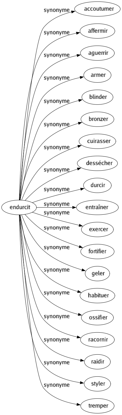 Synonyme de Endurcit : Accoutumer Affermir Aguerrir Armer Blinder Bronzer Cuirasser Dessécher Durcir Entraîner Exercer Fortifier Geler Habituer Ossifier Racornir Raidir Styler Tremper 