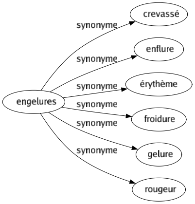 Synonyme de Engelures : Crevassé Enflure Érythème Froidure Gelure Rougeur 