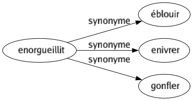 Synonyme de Enorgueillit : Éblouir Enivrer Gonfler 