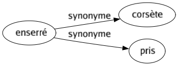 Synonyme de Enserré : Corsète Pris 