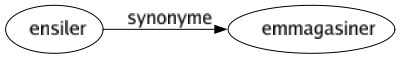 Synonyme de Ensiler : Emmagasiner 