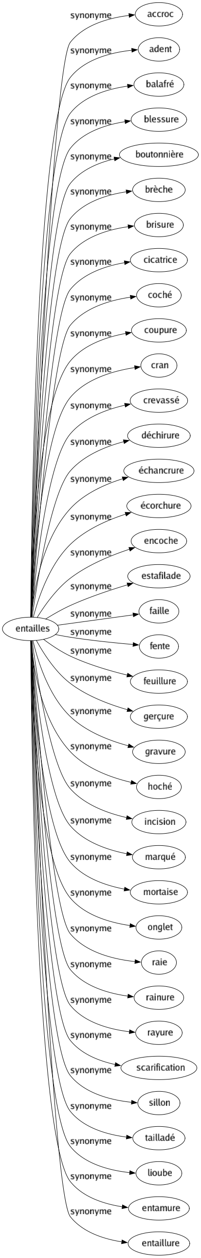 Synonyme de Entailles : Accroc Adent Balafré Blessure Boutonnière Brèche Brisure Cicatrice Coché Coupure Cran Crevassé Déchirure Échancrure Écorchure Encoche Estafilade Faille Fente Feuillure Gerçure Gravure Hoché Incision Marqué Mortaise Onglet Raie Rainure Rayure Scarification Sillon Tailladé Lioube Entamure Entaillure 