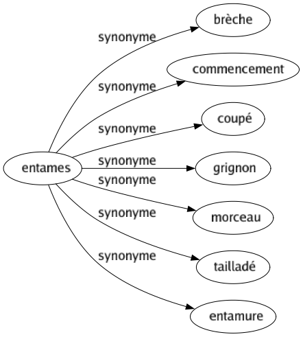 Synonyme de Entames : Brèche Commencement Coupé Grignon Morceau Tailladé Entamure 