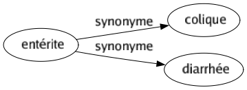 Synonyme de Entérite : Colique Diarrhée 