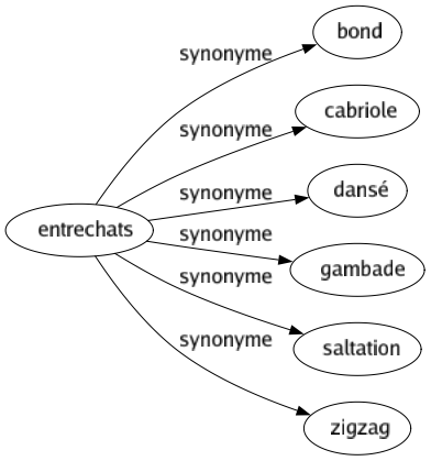 Synonyme de Entrechats : Bond Cabriole Dansé Gambade Saltation Zigzag 