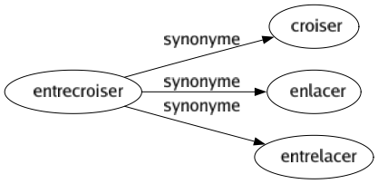 Synonyme de Entrecroiser : Croiser Enlacer Entrelacer 