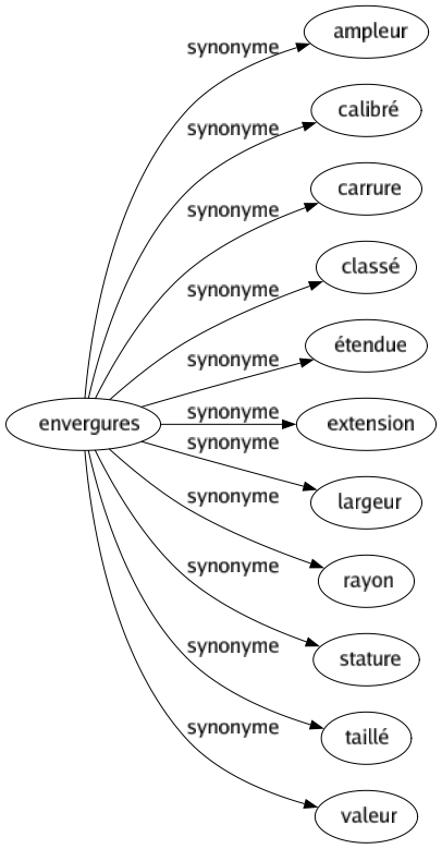 Synonyme de Envergures : Ampleur Calibré Carrure Classé Étendue Extension Largeur Rayon Stature Taillé Valeur 