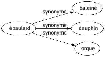 Synonyme de Épaulard : Baleiné Dauphin Orque 