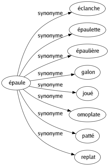 Synonyme de Épaule : Éclanche Épaulette Épaulière Galon Joué Omoplate Patté Replat 