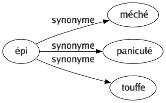 Synonyme de Épi : Méché Paniculé Touffe 