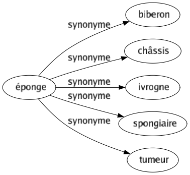 Synonyme de Éponge : Biberon Châssis Ivrogne Spongiaire Tumeur 