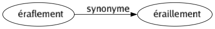 Synonyme de Éraflement : Éraillement 
