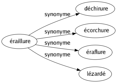 Synonyme de Éraillure : Déchirure Écorchure Éraflure Lézardé 