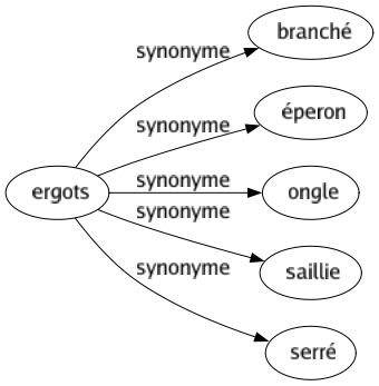 Synonyme de Ergots : Branché Éperon Ongle Saillie Serré 