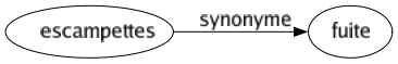 Synonyme de Escampettes : Fuite 