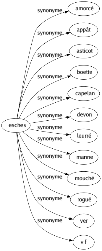 Synonyme de Esches : Amorcé Appât Asticot Boette Capelan Devon Leurré Manne Mouché Rogué Ver Vif 