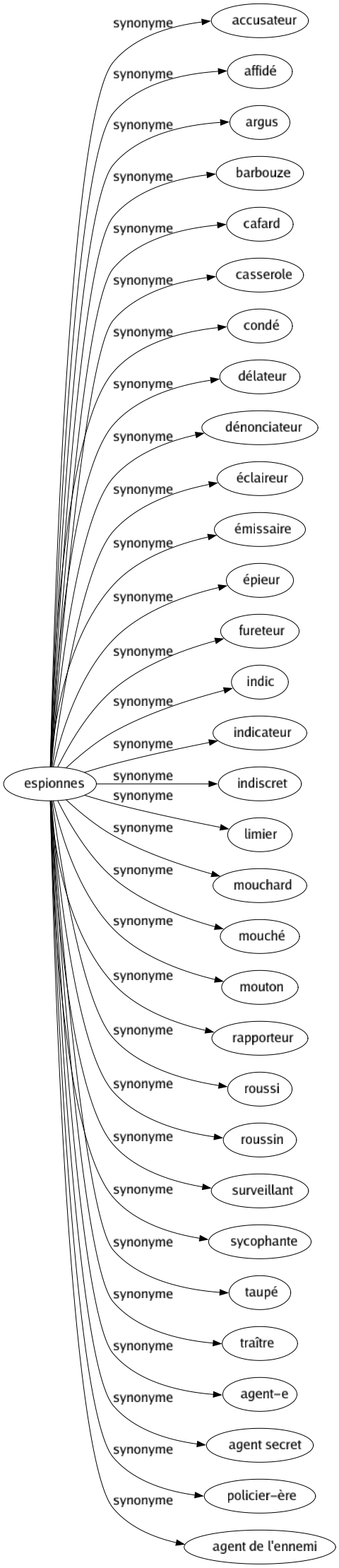 Synonyme de Espionnes : Accusateur Affidé Argus Barbouze Cafard Casserole Condé Délateur Dénonciateur Éclaireur Émissaire Épieur Fureteur Indic Indicateur Indiscret Limier Mouchard Mouché Mouton Rapporteur Roussi Roussin Surveillant Sycophante Taupé Traître Agent-e Agent secret Policier-ère Agent de l'ennemi 